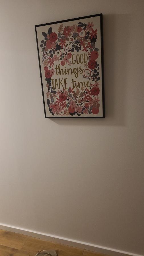 Zen Apartmani Novi Sad Buitenkant foto