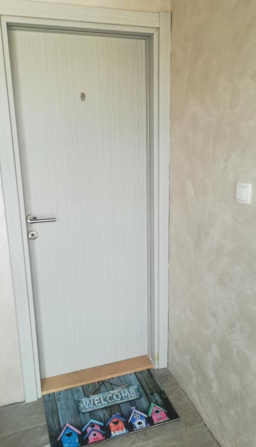Zen Apartmani Novi Sad Buitenkant foto