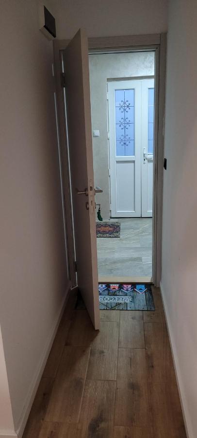 Zen Apartmani Novi Sad Buitenkant foto