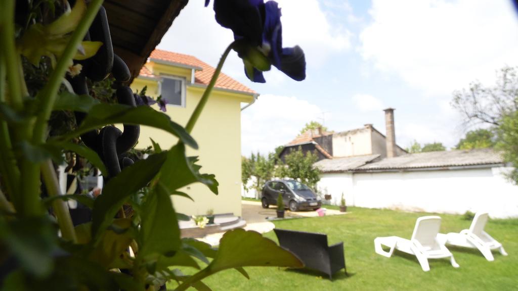 Zen Apartmani Novi Sad Buitenkant foto