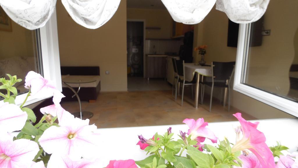 Zen Apartmani Novi Sad Buitenkant foto